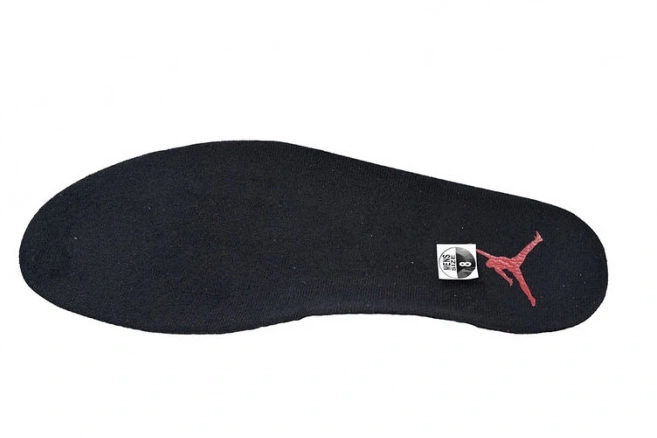 CT8529-600 Toro Air Jordan 6 0709